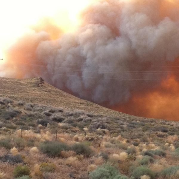 Click to enlarge Wildfire