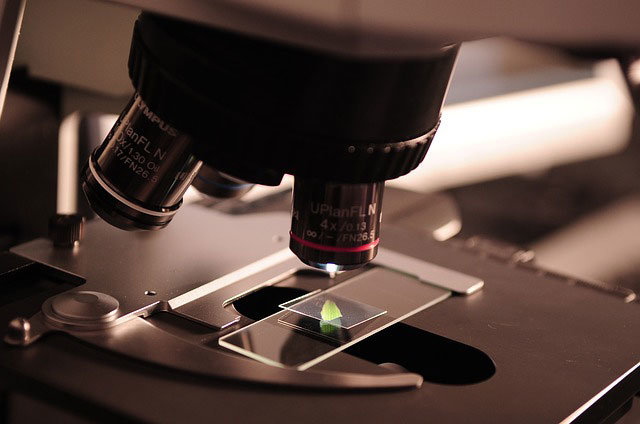 Click to enlarge microscope