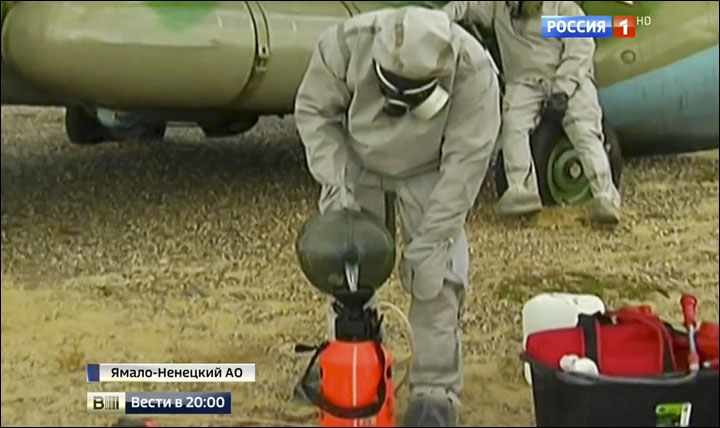 Siberia anthrax outbreak