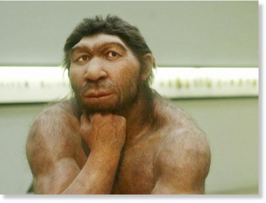 neanderthal man paabo neanderthal man paabo