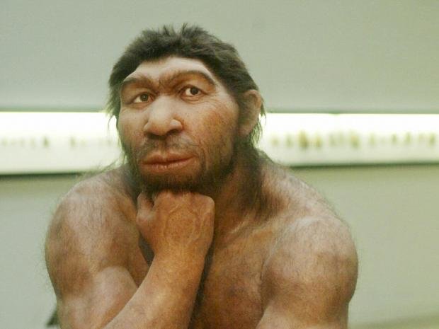 neanderthal man