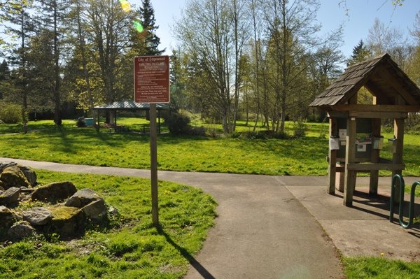 nature, parks