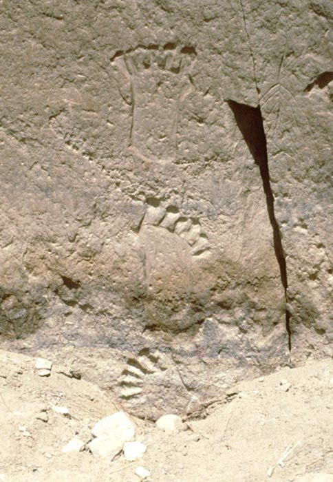 6-toed footprints