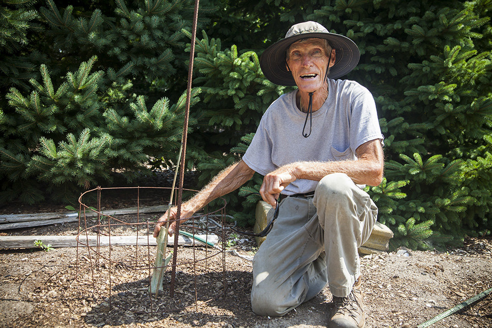 Click to enlarge paul jackson, medical marijuana