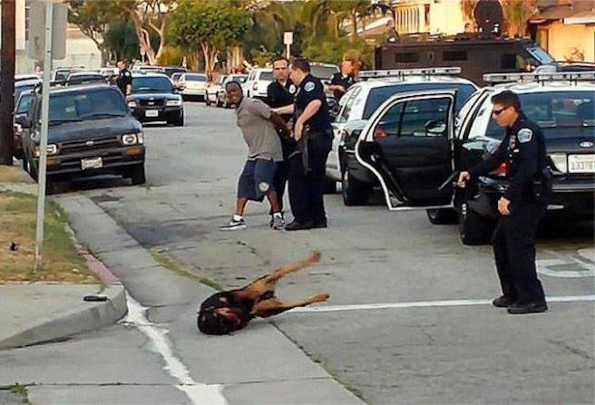 buffalo police kill dogs