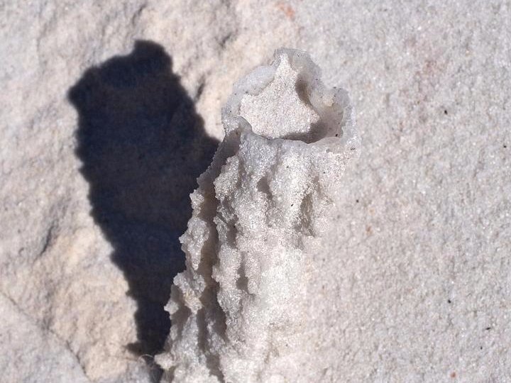 Click to enlarge Fulgurite