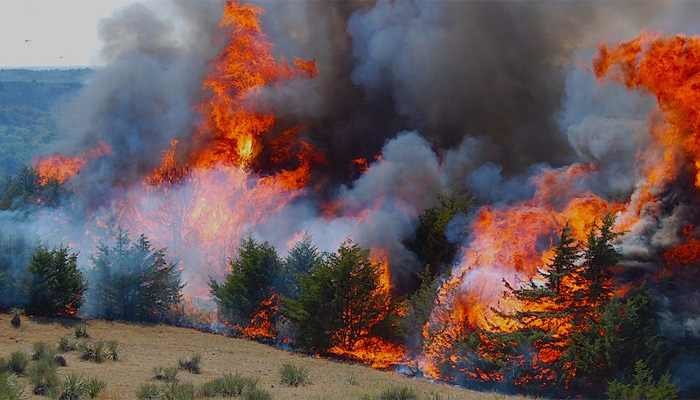 US wildfire