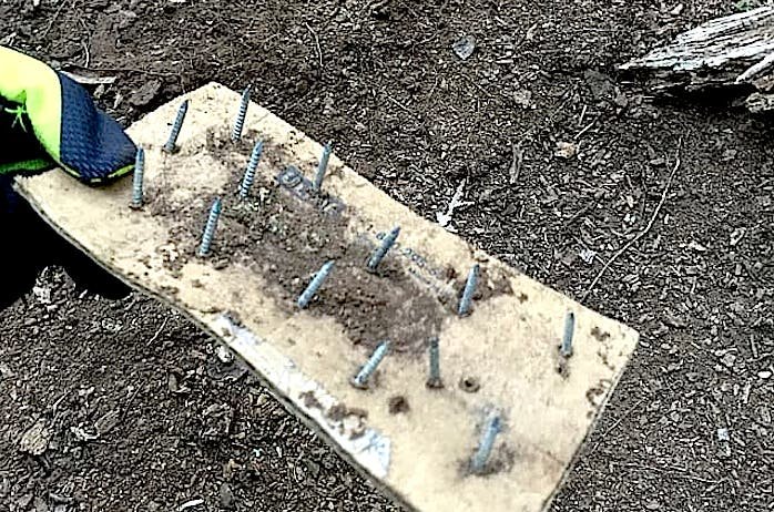 Board screws