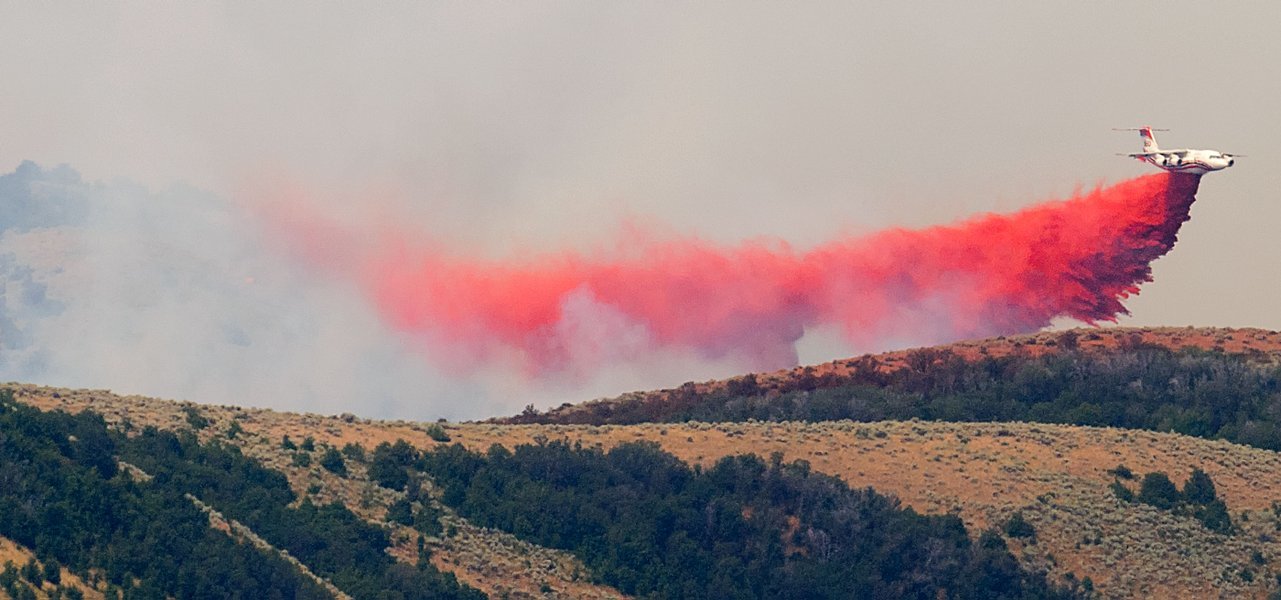 Wildfire