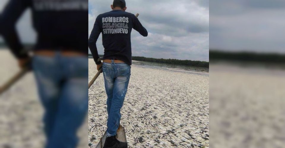FISH KILL