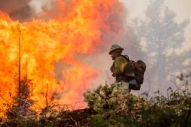 Wildfire
