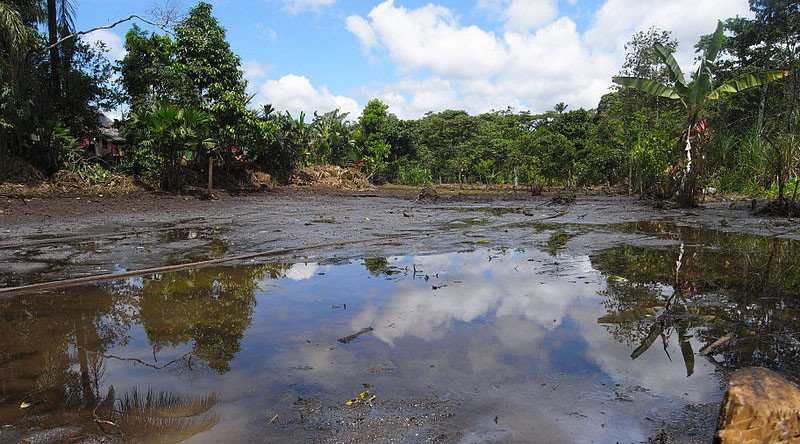 Ecuador rainforest damage