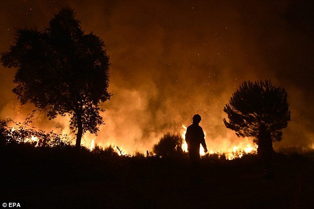 More than 4,400 firefighters battled hundreds of forest blazes across Portugal on Monday, authorities said, as the annual summer wildfire season hit a peak