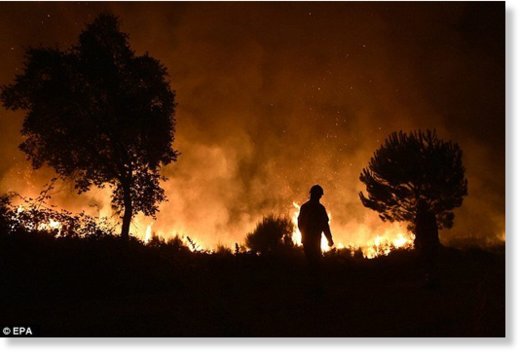 More than 4,400 firefighters battled hundreds of forest blazes across Portugal on Monday, authorities said, as the annual summer wildfire season hit a peak