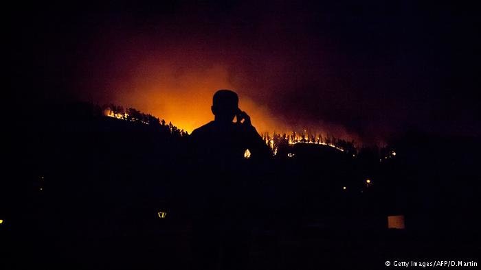 La Palma wildfire