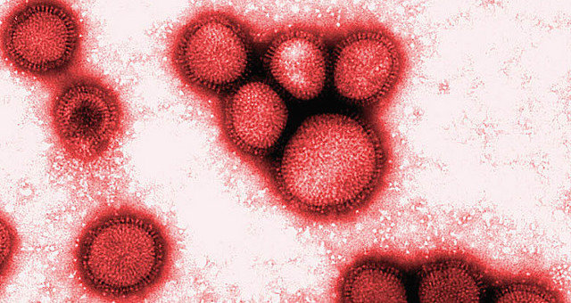 virus