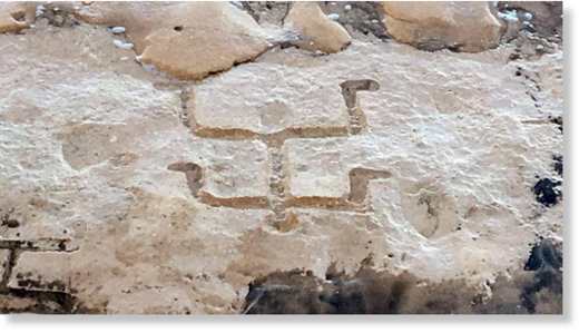 petroglyph hawaii