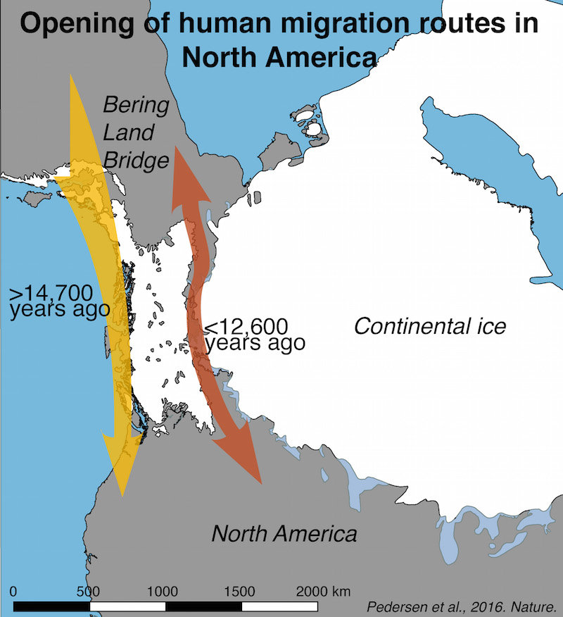 Click to enlarge American immigration map