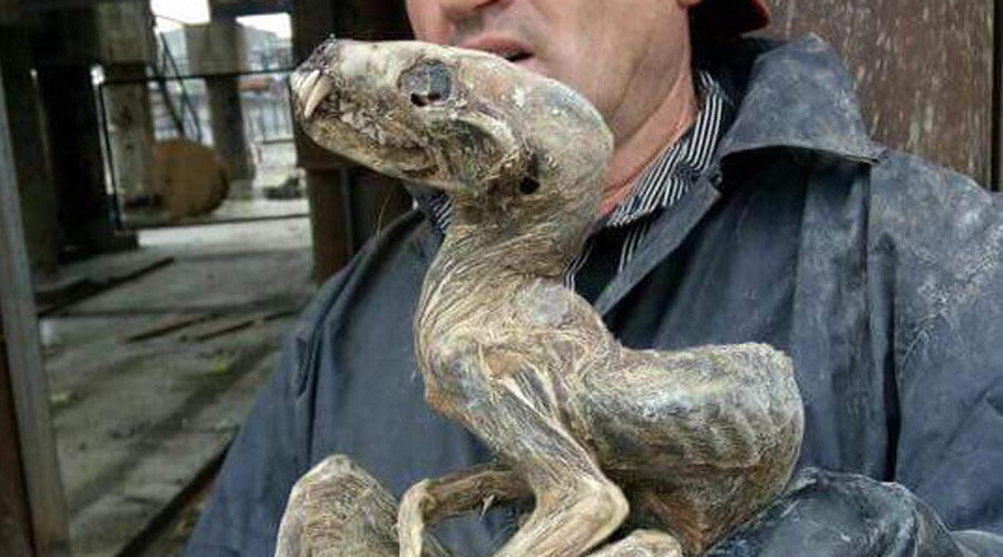 dinosaur mummy