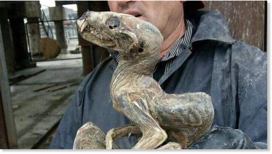 dino mummy