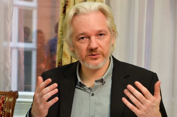 Click to enlarge assange