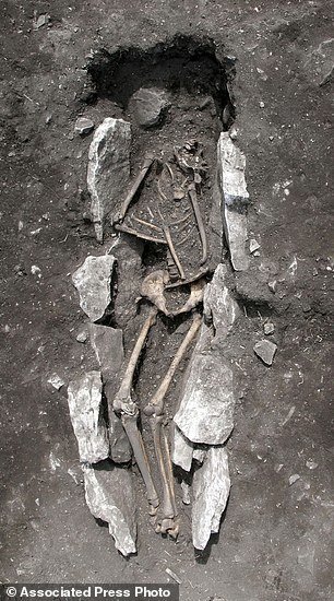 Skeleton