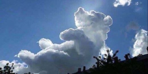 Click to enlarge Teddy Bear Cloud