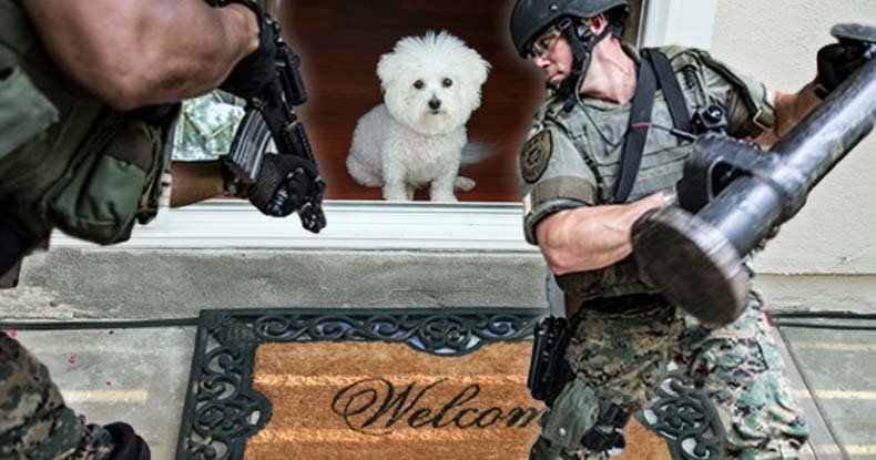 dog killed swat team