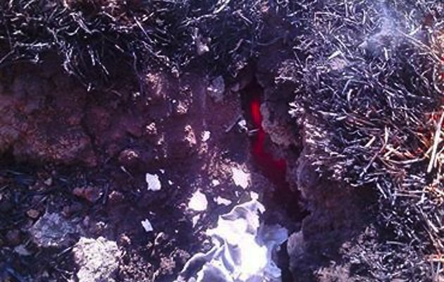 The Council for Geoscience is on its way to investigate this strange ground fire in Limpopo.