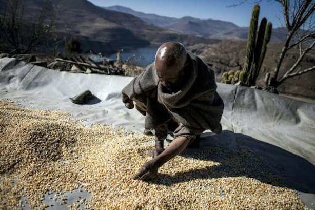 lesotho drought