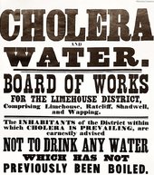 Click to enlarge climate change disease