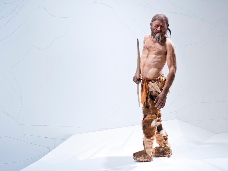 Click to enlarge Ötzi the Iceman