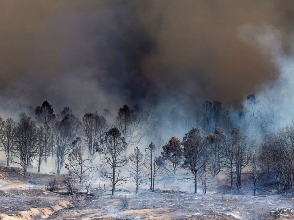 blue cut fire