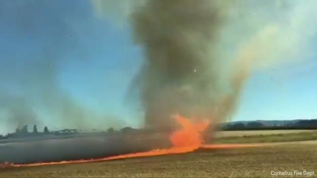 Click to enlarge Firenado
