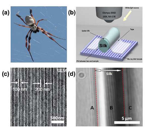 Click to enlarge spider silk