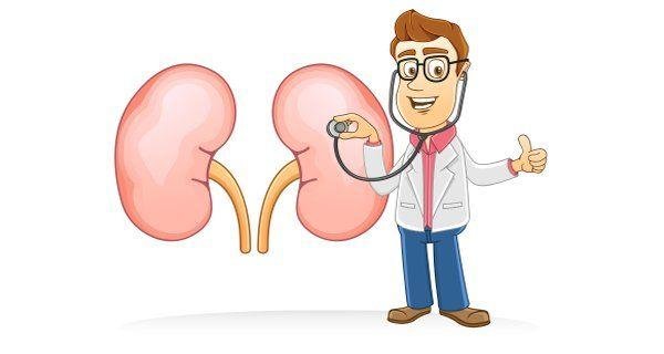 kidney doctor