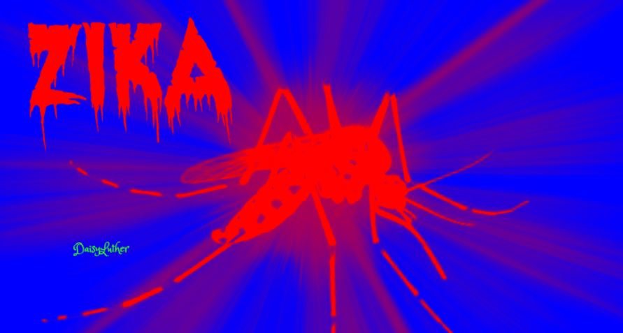 zika virus