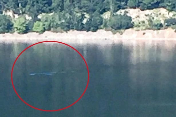 Click to enlarge Loch Ness Monster