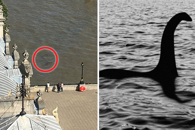 Click to enlarge Nessie