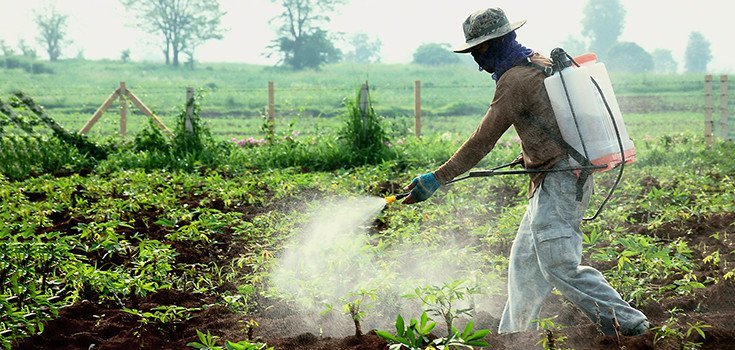 Click to enlarge pesticide drift, dicamba