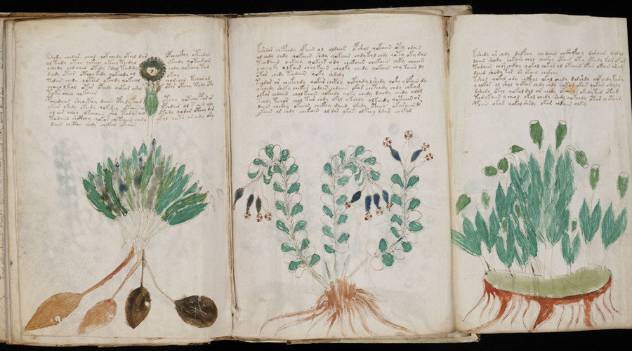Click to enlarge Voynich Manuscript