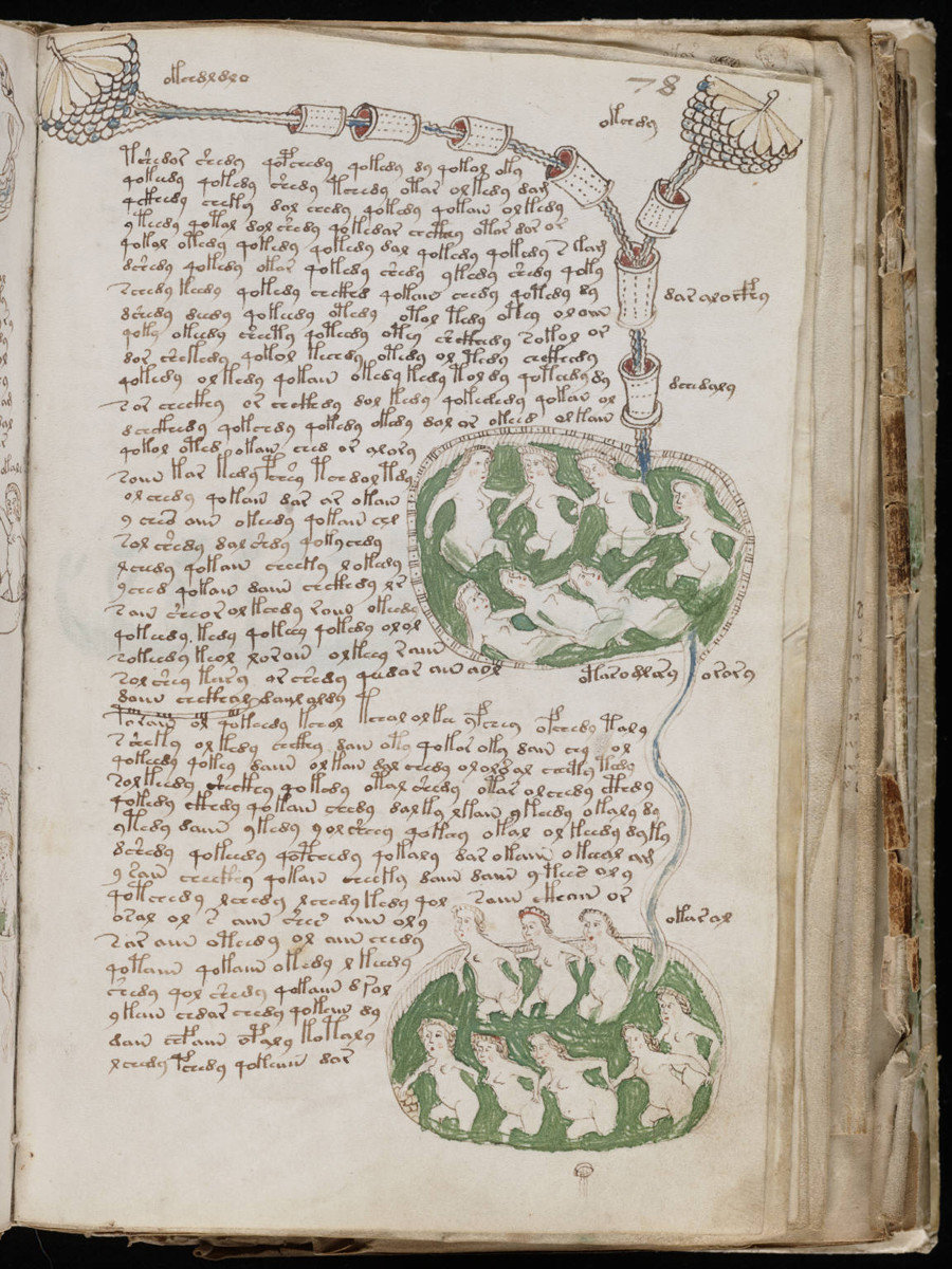 Click to enlarge Voynich Manuscript