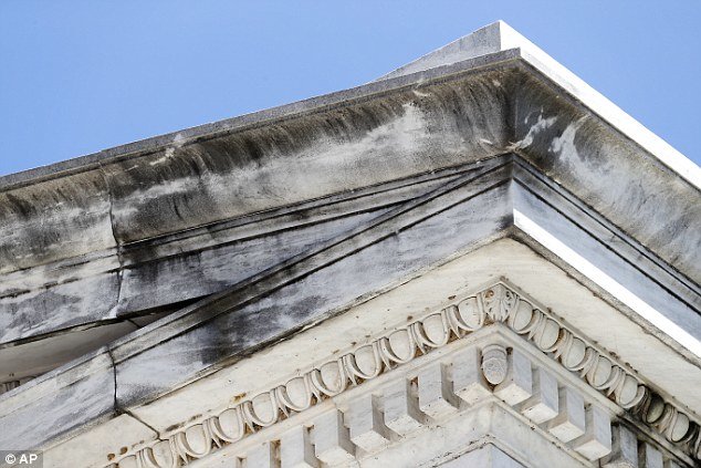 Click to enlarge black mold
