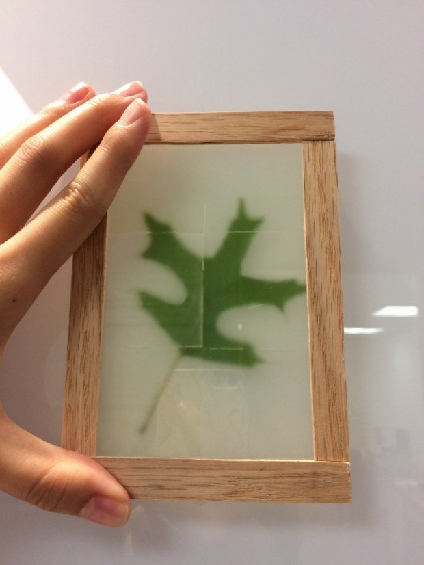 see-through wood
