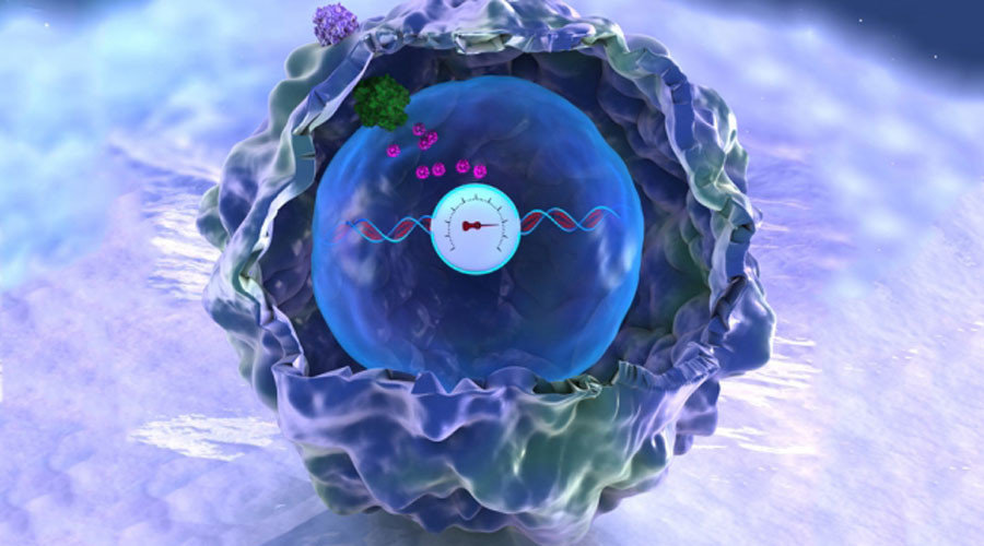 Click to enlarge memories DNA
