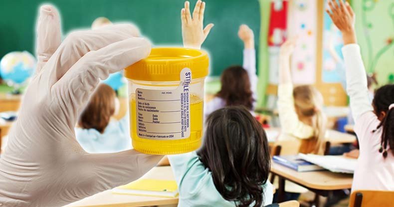 school drug test