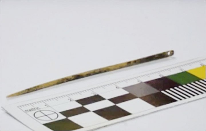 Click to enlarge Denisovan Needle