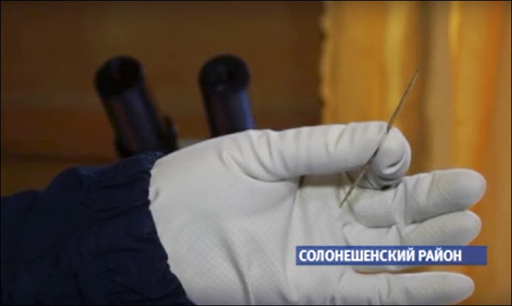 Denisovan Needle_1