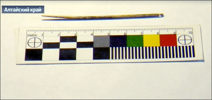 Click to enlarge Denisovan Needle_2