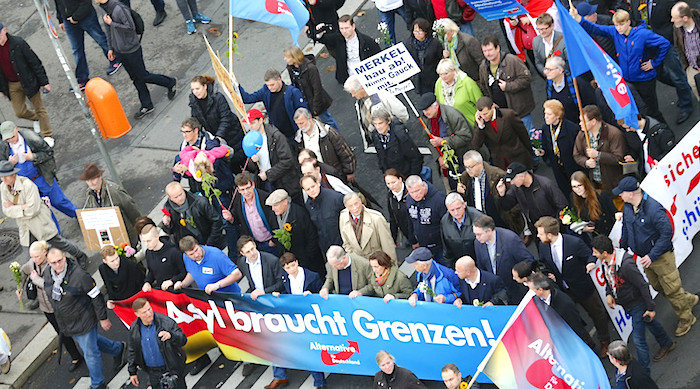 Click to enlarge German rally AfD